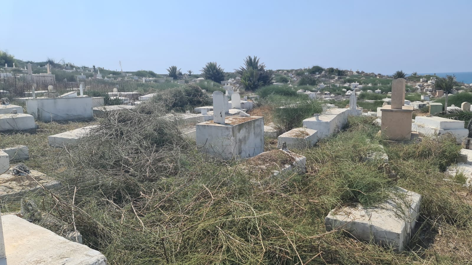 WhatsApp Image 2020-09-19 at 1.45.35 PM (1).jpeg.jpeg